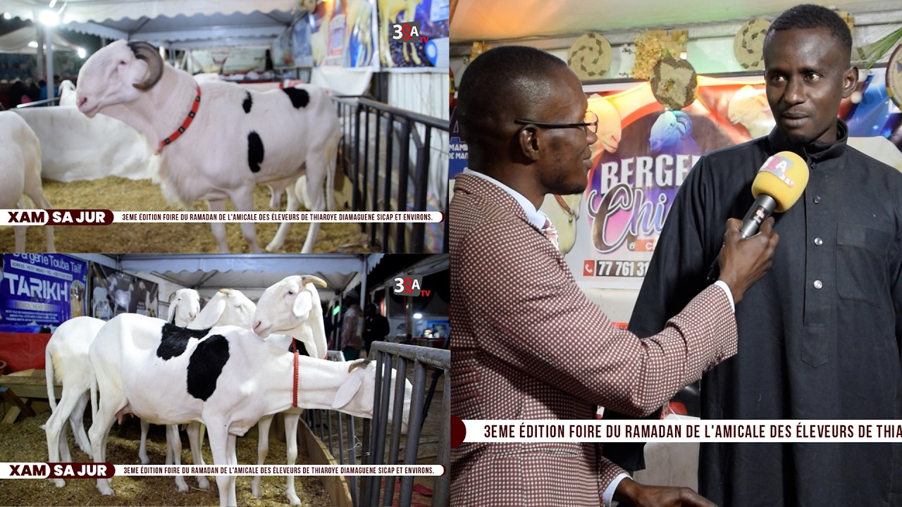 🔴 FOIRE du ramadan, découvrez la bergerie Modou AW Avec le champion Liss ndiago