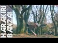 木から落ちる元エリートラグビー選手 -HARAKIRIBAZAI-