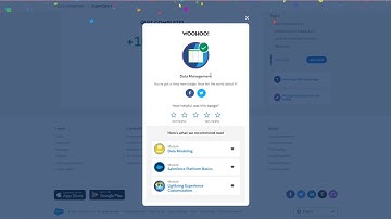 Data Management - Salesforce Trailhead