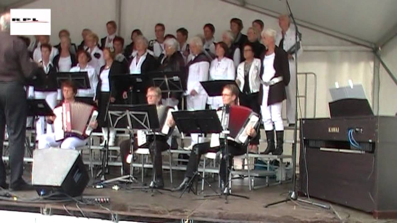 Woerden RPLTV - Mantelmeeuw korenfestival Woerden