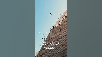 ريلز القرآن الكريم