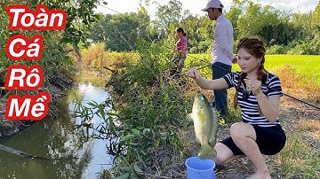 Câu Cá Rô Đồng - Phát Hiện Ổ Cá Rô Khủng Cả Nhà Câu Giật Liên Tục Toàn Cá Rô Mề