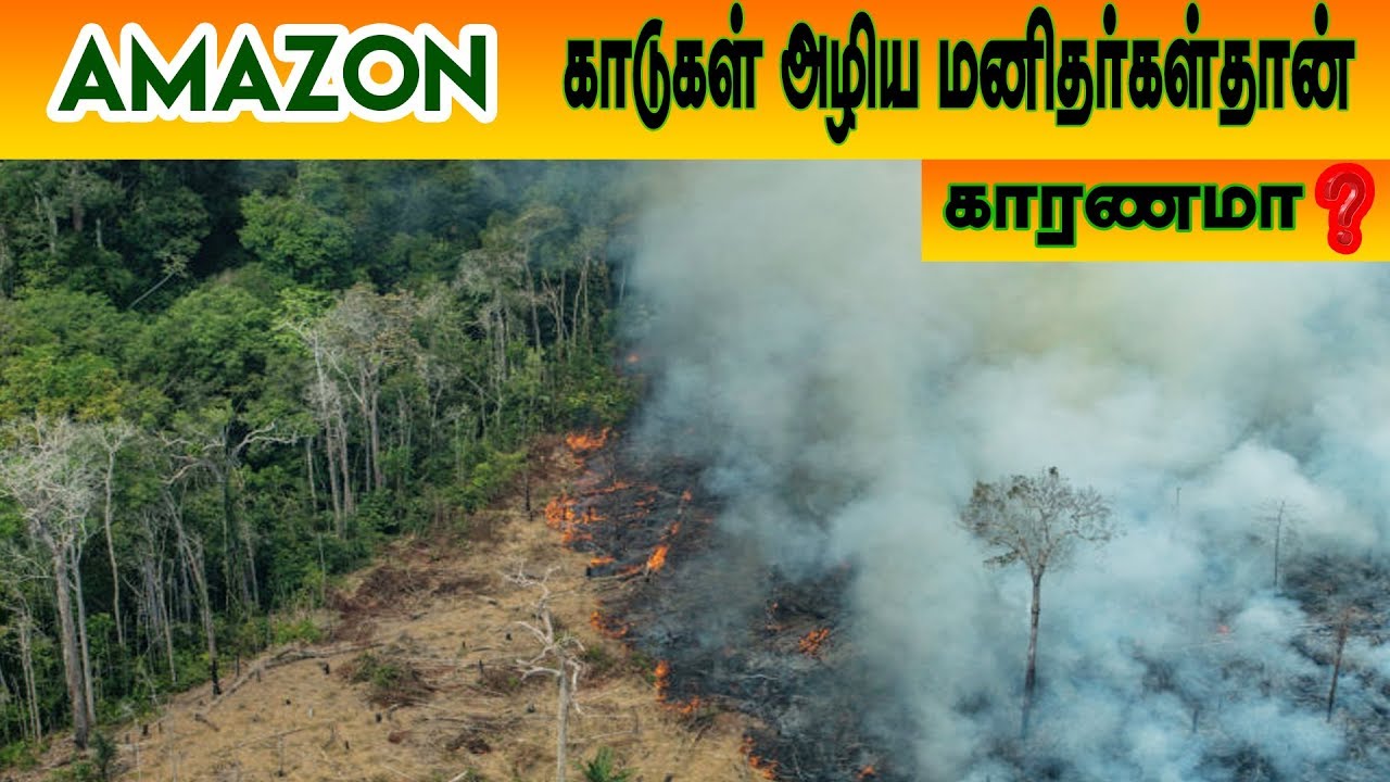 Amazon Fire Reasons அமேசான் காடுகள் அழிய மனிதர்கள்தான் காரணமா/Bubble tube/Bubble tube