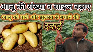 आलू में अगेती झुलसा रोग नियंत्रण||Potato Early Blight Ki Dawai||आलू फुलाने की दवा||Potato Ki Kheti||
