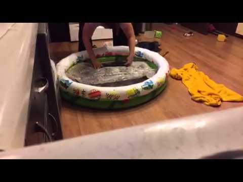 Alpaca stomp rug time lapse - YouTube