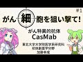 第１回 抗体創薬学分野 研究成果紹介：HER2 CasMabのがん特異性のメカニズム＿ver2