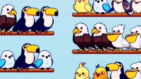 Bird Sort Puzzle 🧩 Gameplay iOS android Games | Gaming All levels 