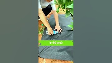 Singhal mart Weed Mat: The Ultimate Solution for a Weed-Free Garden! Weed control sheet mat