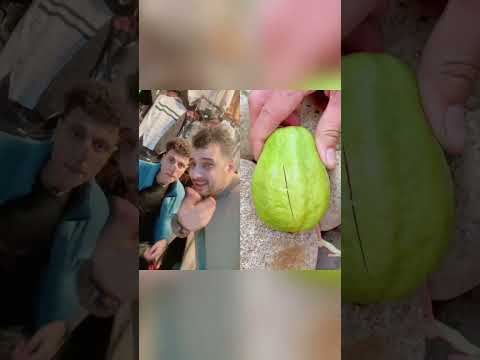 نوع الفكهة ده ايه جوافة فعل ا