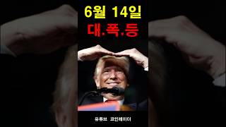[속보] 6월 14일, 트럼프코인 폭등설