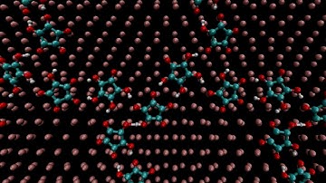 Physical Chemistry: A molecular dynamics simultation