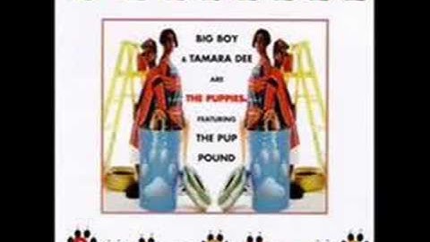 The Puppies - Funky Y-2-C