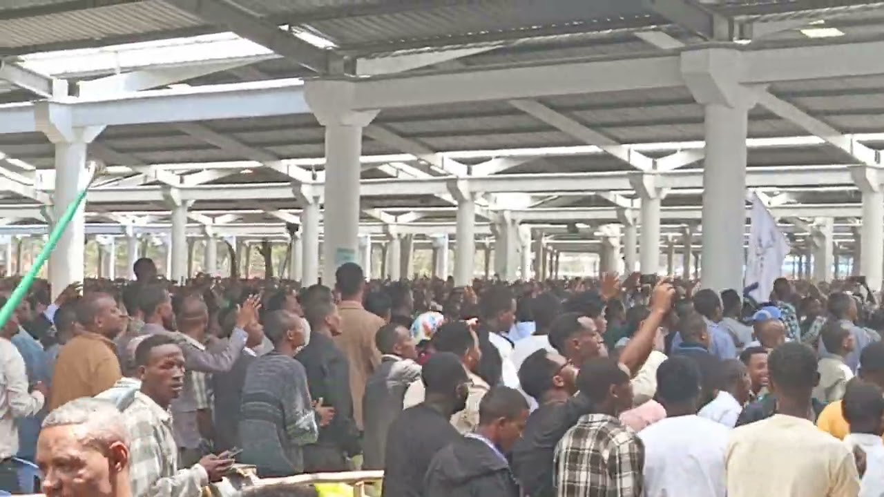 ዓርብ ጠዋት Warra 2017