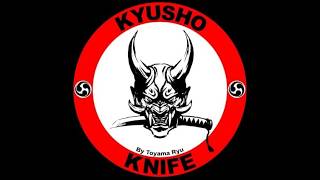 Treino de Kyusho Knife #10