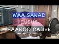 Ref:P2Qf-Y4GSXc Haanoo cadee - waa sanad cusub (official music video)