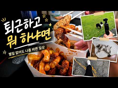 퇴근 후 일상부터 주말 스냅까지 | 직장인의 Week Vlog