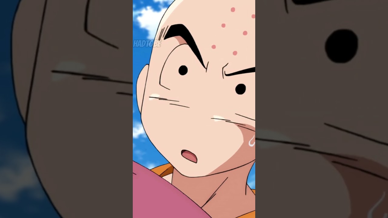 Krillin’s Power True Student of the Turtle Hermit!😯