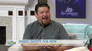 Find Your Perfect Match At Petland Knoxville