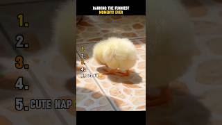 Ranking the Funniest Moments Ever 😂 #funny #trynottolaugh