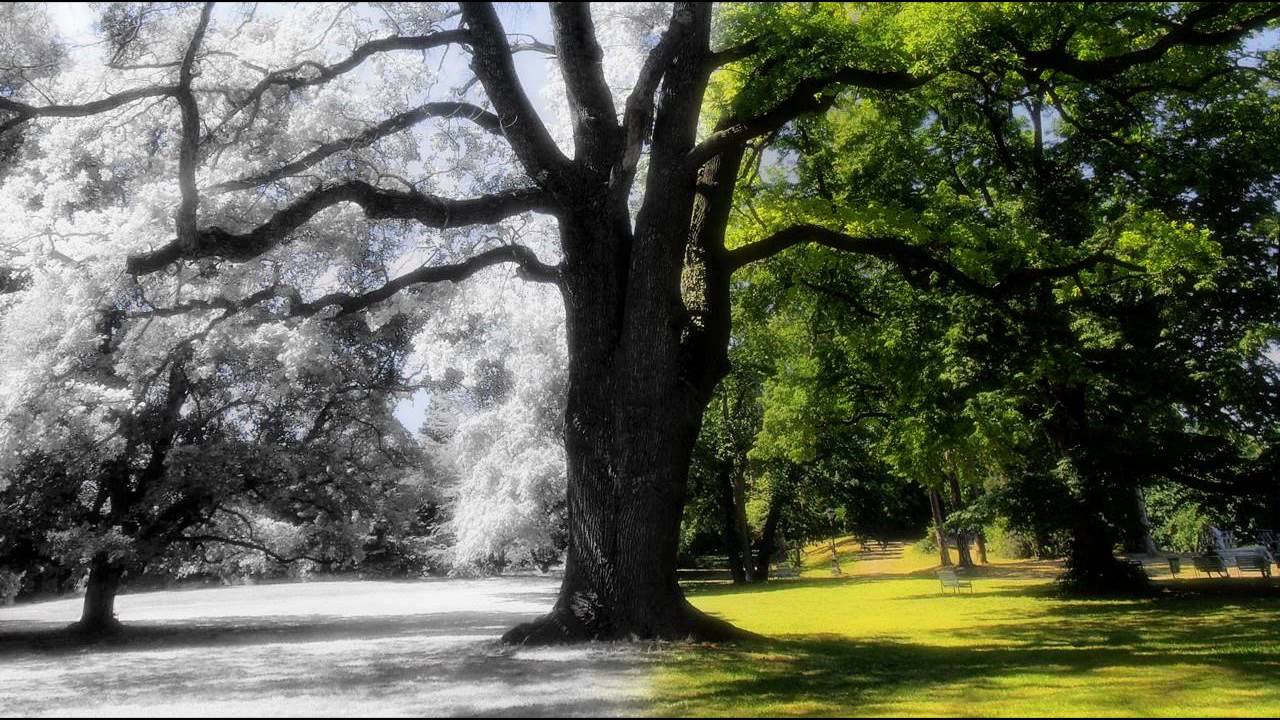 [HD] John Devitt - Fast Beat [Jazzstep Music]