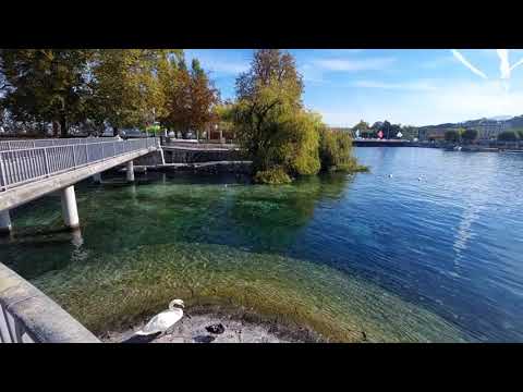 Video: Švicarska Narava: Ženevsko Jezero