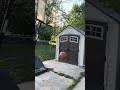 Basketball video edit #basketball #edit #viral #fyp #youtubeshorts #youtube