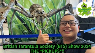 British Tarantula Society (BTS) Show 2024!! THE *PICKUPS*!!