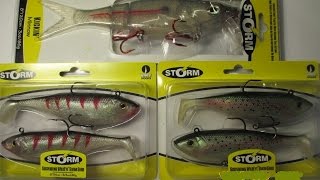 STORM Soft Bait Review (My Perspective) screenshot 2
