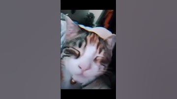 1v1 m416 headshot 🥵☠️#youtubeshorts #pubgmobile #m416clutc #susbcribe #bgmi #m416spray #1v1tdmm416