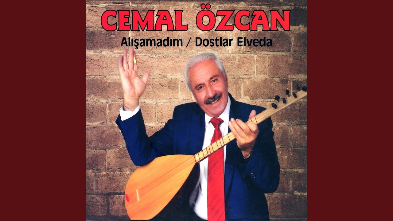 Alışamadım