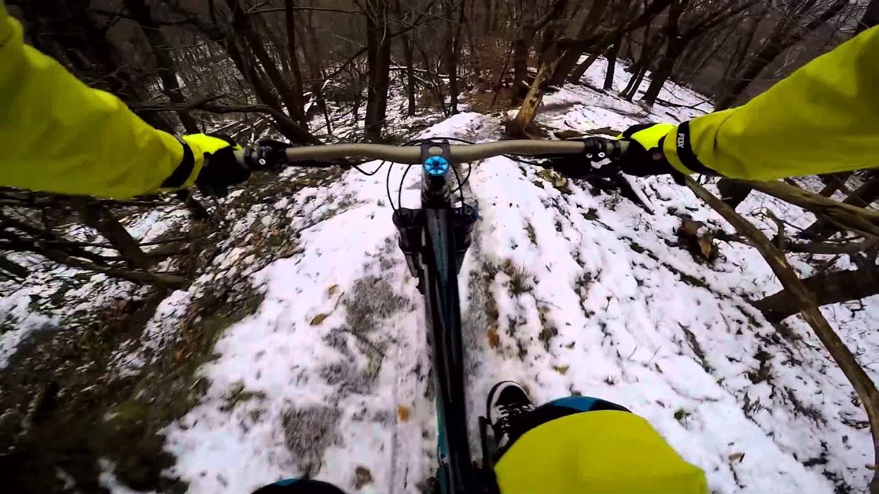 giant reign 2 ltd 2015