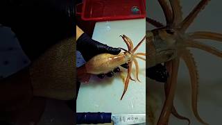 🇯🇵 World’s Fastest Japanese Squid Cutting Trick 🐙 #squid #japanesefood #shorts