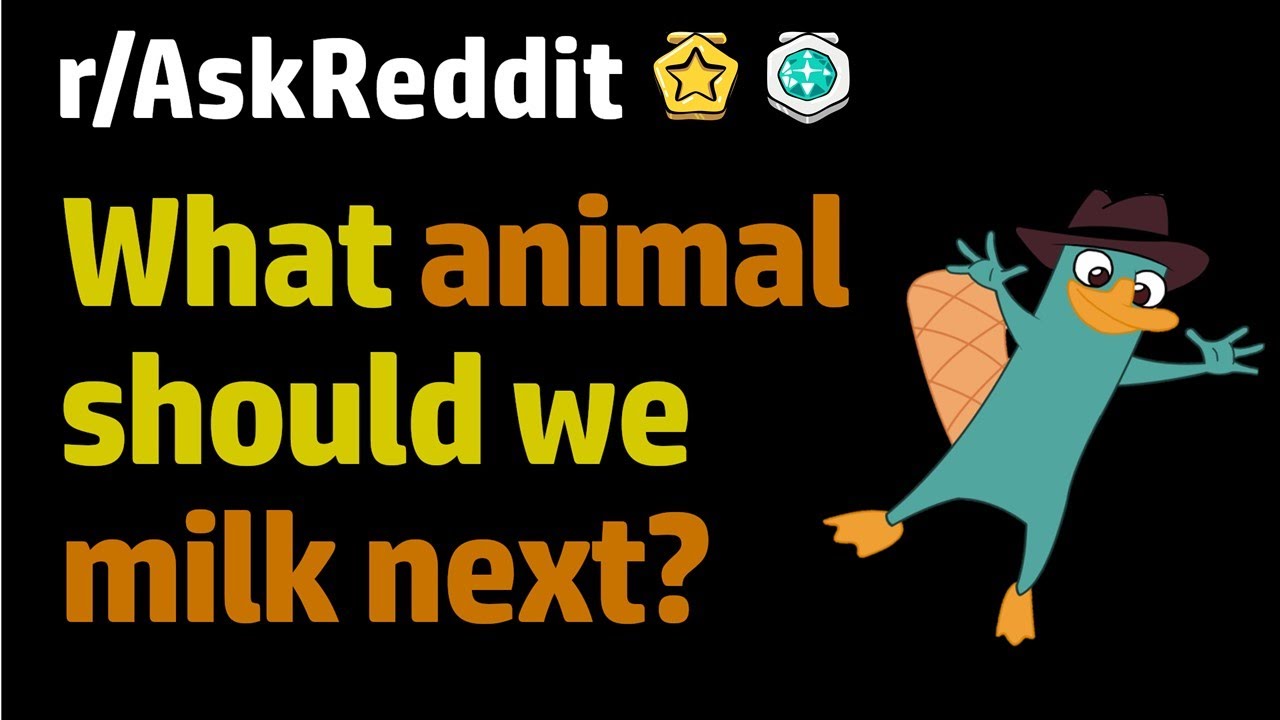 What Animal Should We Milk Next? (r/AskReddit Top Posts | Reddit