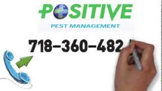 Exterminator NYC - Positive Pest Management 718-360-4824