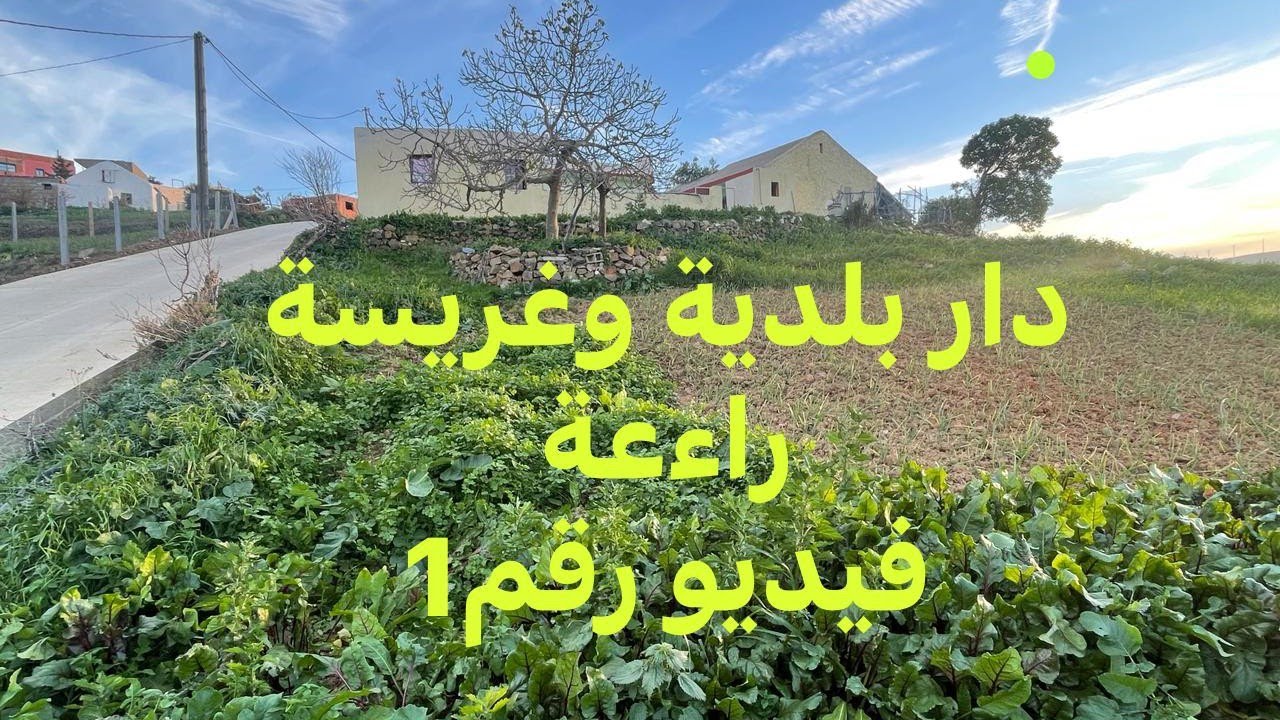 1️⃣ دار بلدية وغريسة منزهة ورائعة جات على الطريق 0703640826وادليان طنجة