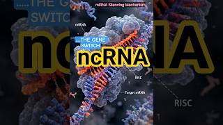 What is Non-Coding RNA?: How miRNA and lncRNA Actually Control Your Body’s Genes