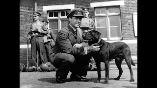 Richard Todd Interview 1989  Speaking About The Dam Busters