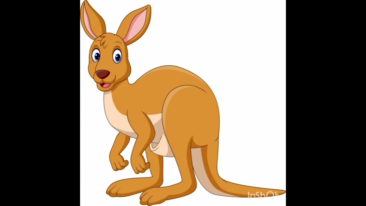 Кенгуру картинка для детей на прозрачном фоне