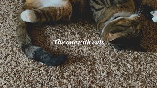 Video Diary, Episode 5: The one with life in fastfwd