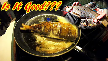 Can you eat Grayling?