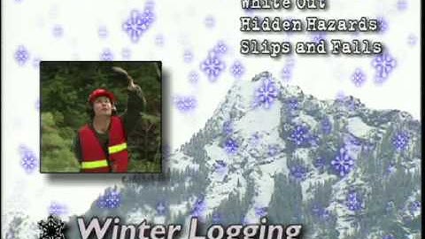 Heli-Logging (6 of 8): Winter Logging