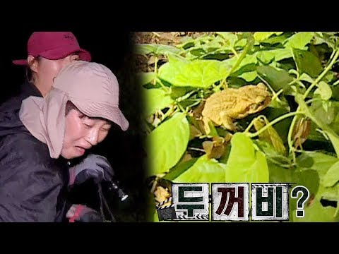 정다래·딘딘, 두꺼비 형님(?) 보고… 비명 작렬! @김병만의 정글의 법칙 287회 20171020