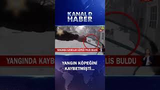 Yangında Köpeğini Kaybetmişti Polis Ekipleri Yaşlı Kadına En Büyük İyiliği Yaptı...