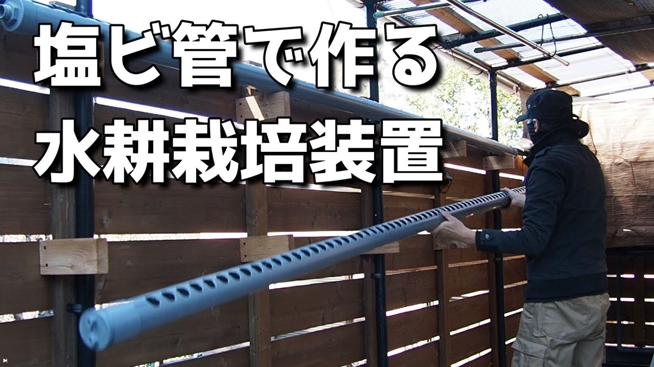 【40代無職バツイチ家を買う#144】塩ビ管を利用して水耕栽培を行えば野菜不足も解決です