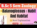 Balanoglossus ( Tongue Worm ) - Systematic Position: Habit and Habitat | For B.Sc 5 Sem and others.
