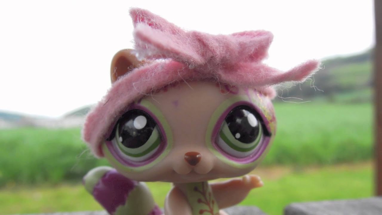 LPSNTM Entry for RainbowKittyTV