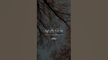 القارئ هزاع البلوشي 😊 اكتب شي تؤجر عليه