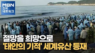 절망을 희망으로…'태안의 기적' 세계유산 등재 [전국네트워크]