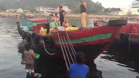 Chợ bến cá nghi thủy, TX. Cửa Lò, Nghệ An