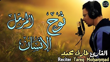 سورة نوح🤍المزمل🤍الإنسان🤍 بصوت القارئ طارق محمد